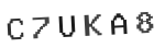 Verification Code Image