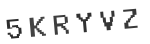 Verification Code Image